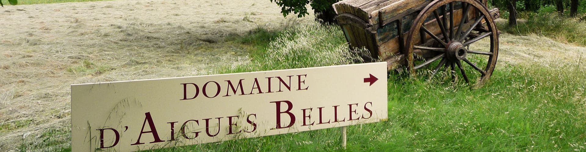 Domaine d'Aigues Belles - Domaine viticole en Languedoc-Roussillon