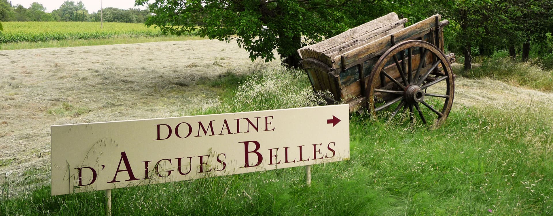 Domaine d'Aigues Belles - Domaine viticole en Languedoc-Roussillon